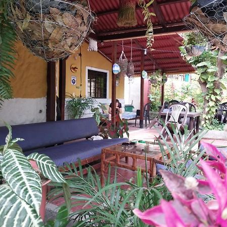 Mi Refugio Tayrona Hotell Santa Marta  Exteriör bild