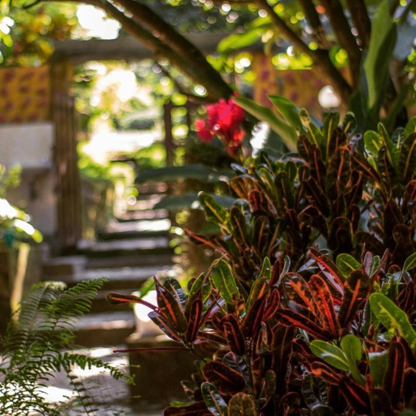 Mi Refugio Tayrona Hotell Santa Marta  Exteriör bild