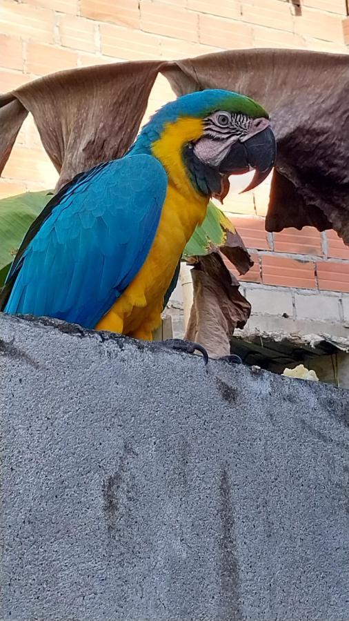 Mi Refugio Tayrona Hotell Santa Marta  Exteriör bild