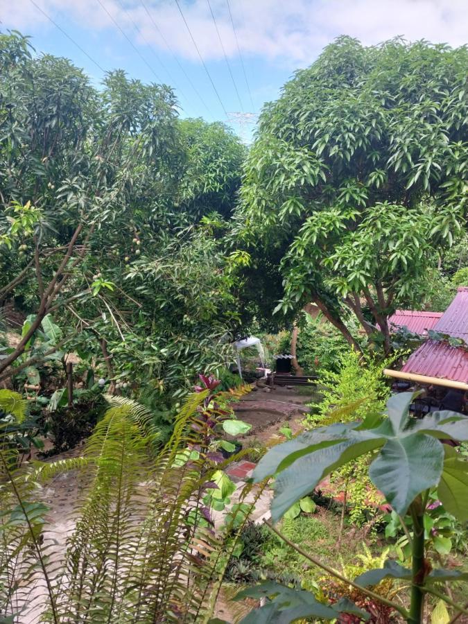 Mi Refugio Tayrona Hotell Santa Marta  Exteriör bild