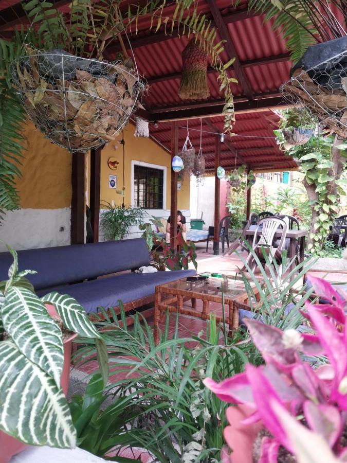 Mi Refugio Tayrona Hotell Santa Marta  Exteriör bild