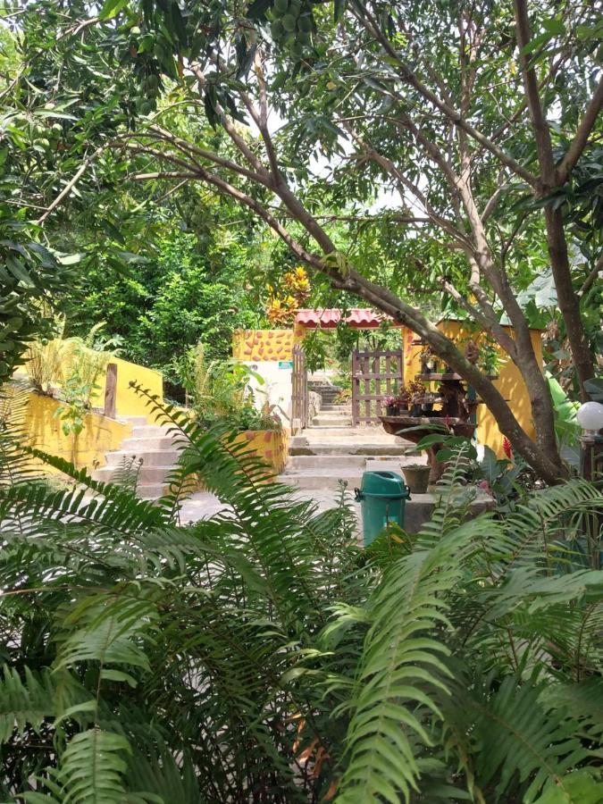 Mi Refugio Tayrona Hotell Santa Marta  Exteriör bild